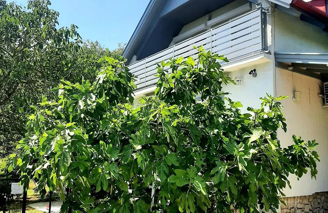 HangVilla Badacsony-1